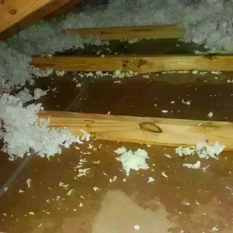 Attic Water Damage in New Haven, CT