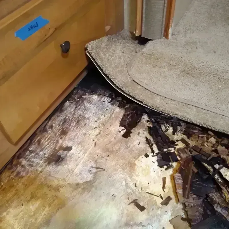 Wood Floor Water Damage in New Haven, CT